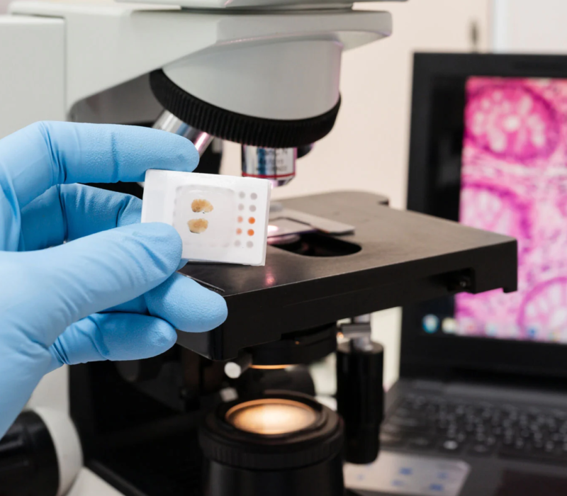 Scientist looking through a microscope